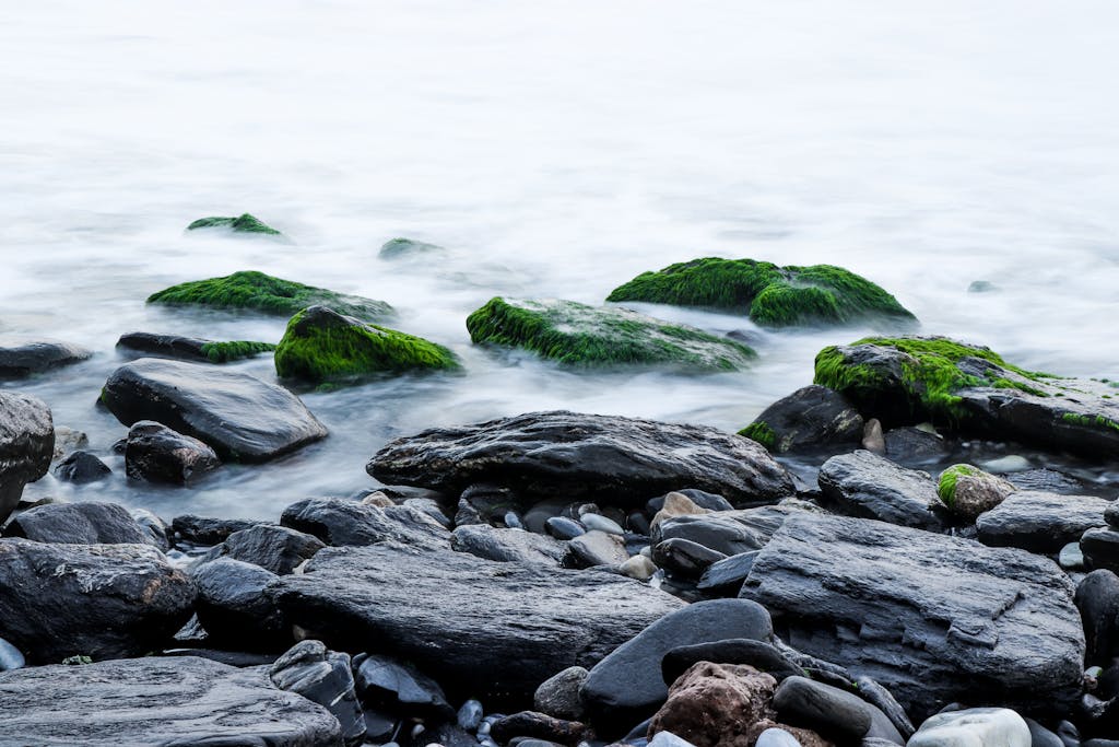 Tranquil coastal scene featuring moss-covered rocks and gentle water flow.